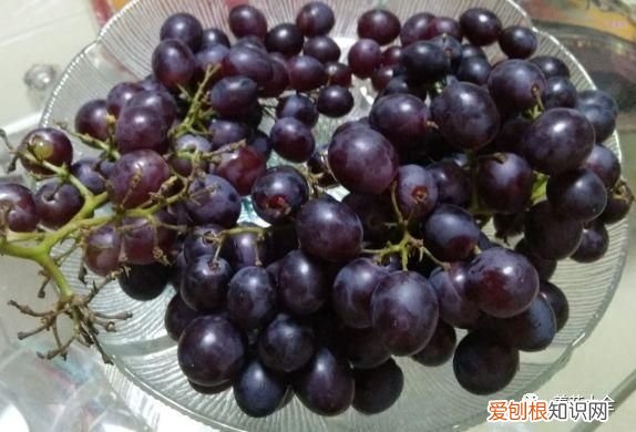 葡萄酒不用买，学会这几招 如何酿制葡萄酒