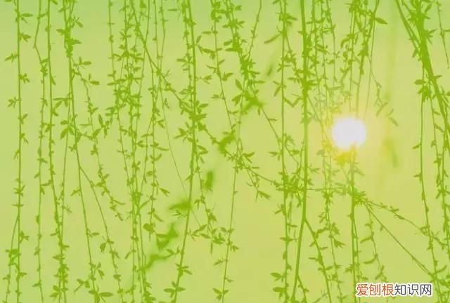 十首卜算子咏尽人间风情