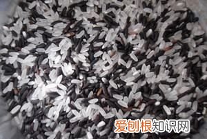 黑米可以蒸米饭吗，什么样的黑米可以蒸米饭