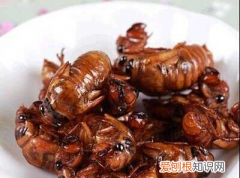 金蝉为什么称为唐僧肉