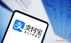 支付宝怎么揍别人的小鸡，支付宝小鸡怎么一直在别人家