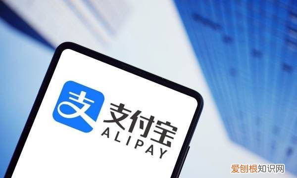 支付宝怎么揍别人的小鸡，支付宝小鸡怎么一直在别人家