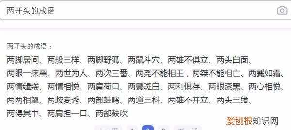 俩开头成语，形容两件事物必须共同存在的成语有哪些