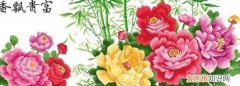 十字绣先绣颜色多的还是少的