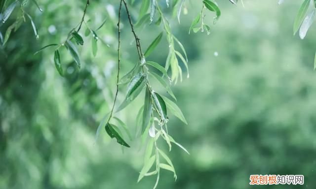 50首宋诗经典,关于春雨的宋诗