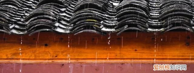 50首宋诗经典,关于春雨的宋诗
