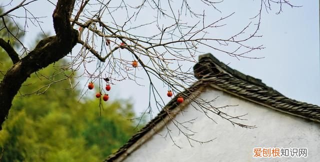 浙江这座小山村，全村人都姓沈，据说江浙地区姓沈的人都来自此处