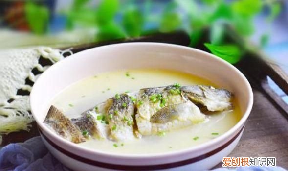 鱼汤怎么去腥味,鲫鱼汤怎么去腥味