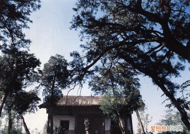 79年关羽墓出土的关羽头哪去了
