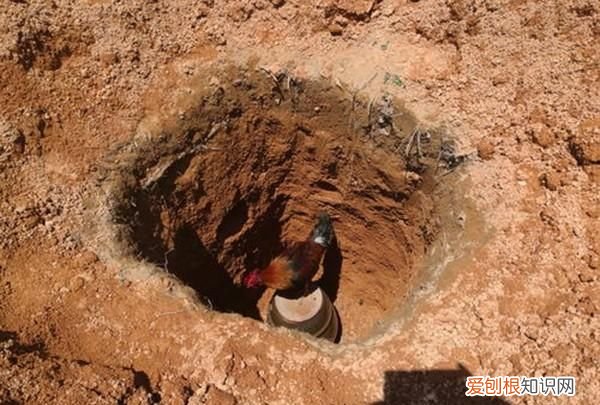 79年关羽墓出土的关羽头哪去了
