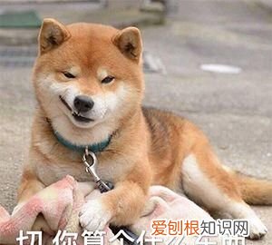 给孩子起名字,能不能认真点呢