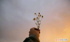 心理学马太效应是什么意思