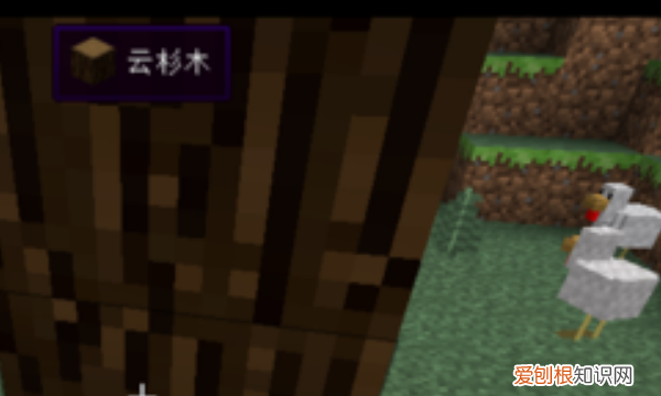 我的世界电脑版怎么玩，如何在电脑上玩我的世界