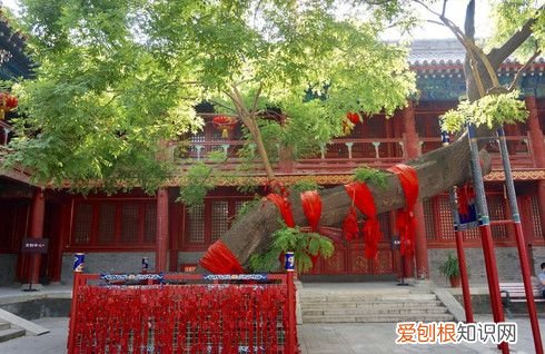 求子祈福的好地方----北京东岳庙 北京东岳庙