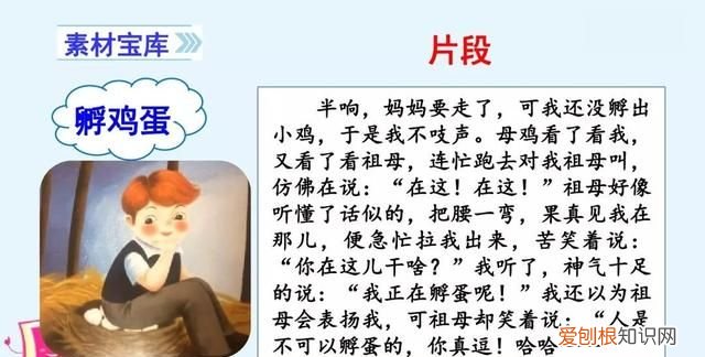 部编四年级作文生活万花筒范文,生活万花筒四年级优秀作文400以上