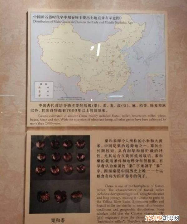 《寒食》中心