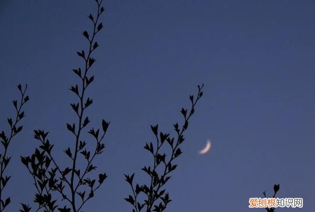 阳春三月,送你30首明媚的诗词是什么