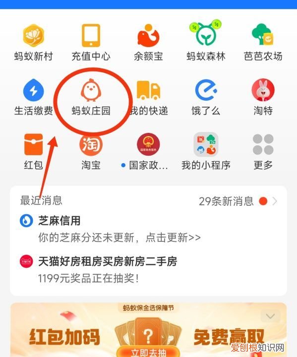 蚂蚁庄园道具卡怎么获得，蚂蚁庄园如何获得5张加速卡