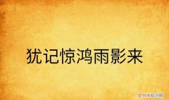 犹记惊鸿照影是悲剧吗