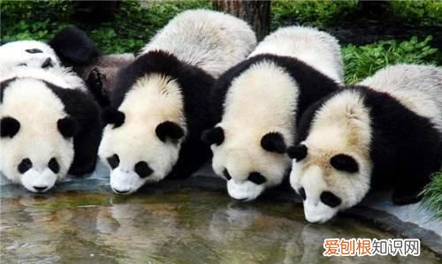 蚩尤是谁