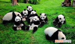 蚩尤是谁