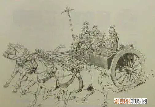 新说文解字第三季动物篇
