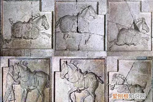 新说文解字第三季动物篇