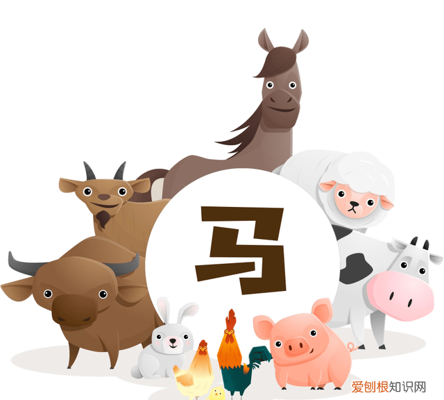 新说文解字第三季动物篇