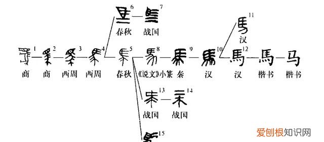 新说文解字第三季动物篇