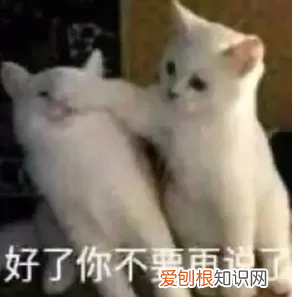 揭秘双鱼玉佩神秘事件 彭加木与双鱼玉佩