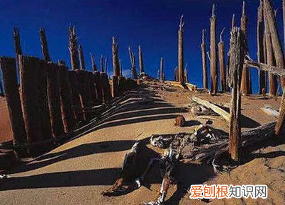 揭秘双鱼玉佩神秘事件 彭加木与双鱼玉佩