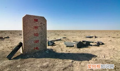 揭秘双鱼玉佩神秘事件 彭加木与双鱼玉佩