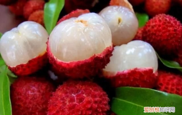 干荔枝挑凹凸不平壳还是完整壳好