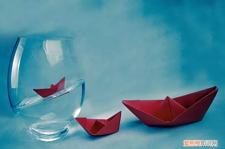 爱你所爱，行你所行 爱你所爱