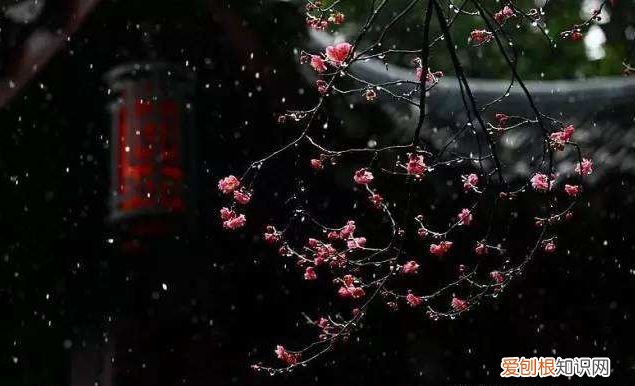 在寒夜里读首古诗词 寒夜客来茶当酒