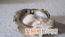 生蚝的做法步骤，生蚝的做法 家常