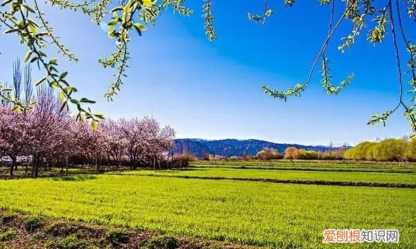 冰箱春秋天温度应该调到几档