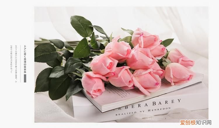 你知道玫瑰的花语吗？ 玫瑰代表什么意思