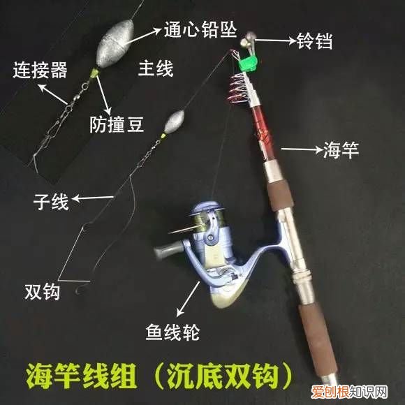 海竿的线组搭配图解 海竿组装图解