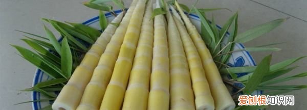 竹笋为什么是苦的，冷水下竹笋为什么还是苦的