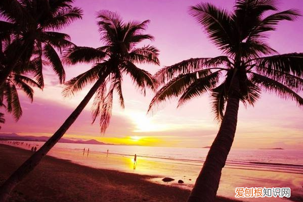 海南深藏的美景 海南风景