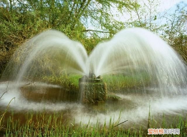 澳大利亚人口比上海人口多还是少