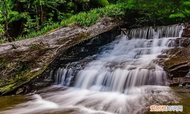 澳大利亚人口比上海人口多还是少