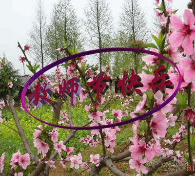 歌颂教师的现代诗歌! 有关赞美老师的诗歌!