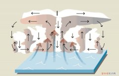 台风如何形成和移动？ 台风怎么形成
