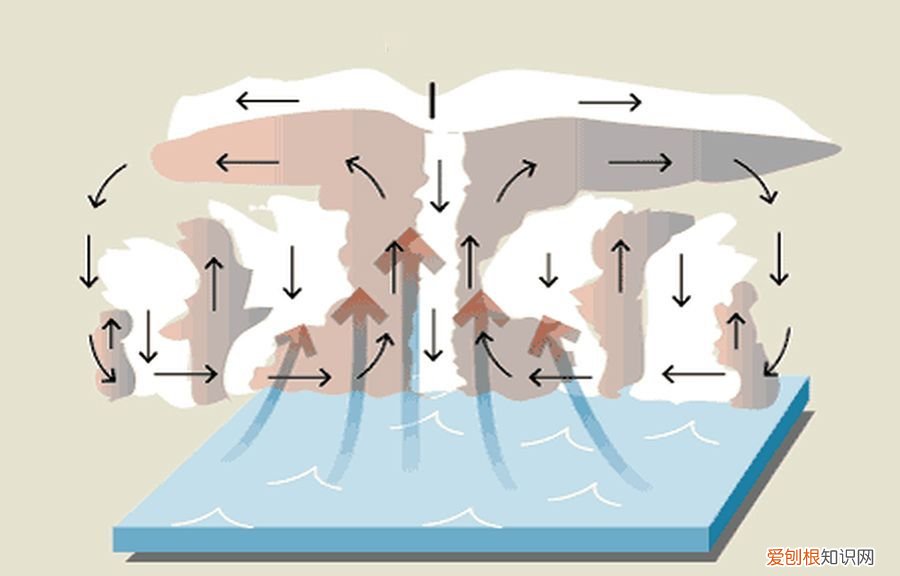 台风如何形成和移动？ 台风怎么形成