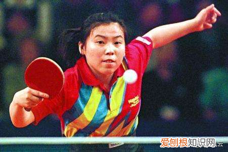 世界乒坛成就十名大满贯 乒乓球大满贯