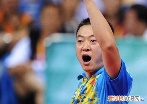 世界乒坛成就十名大满贯 乒乓球大满贯