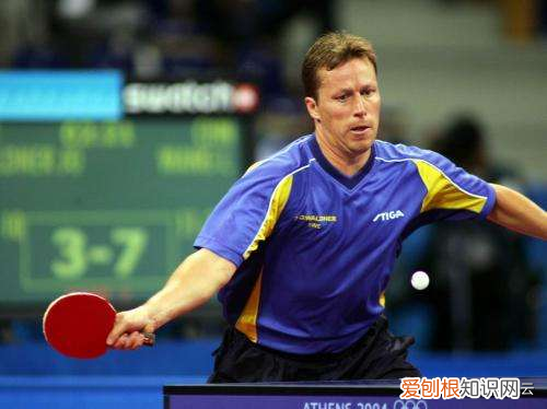 世界乒坛成就十名大满贯 乒乓球大满贯