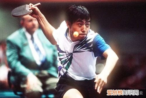 世界乒坛成就十名大满贯 乒乓球大满贯